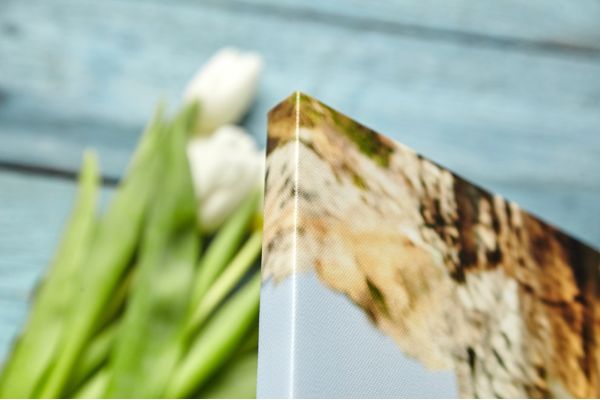 Tela Canvas